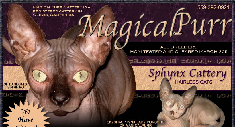 Magical Purr Sphynx Cattery