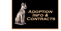 Adoption Info