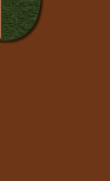 Visit Sale Barn Buzz Equine Classifieds